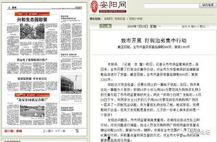 安阳爆料新闻最新消息今天,最新爆料揭示惊人真相，事件进展追踪